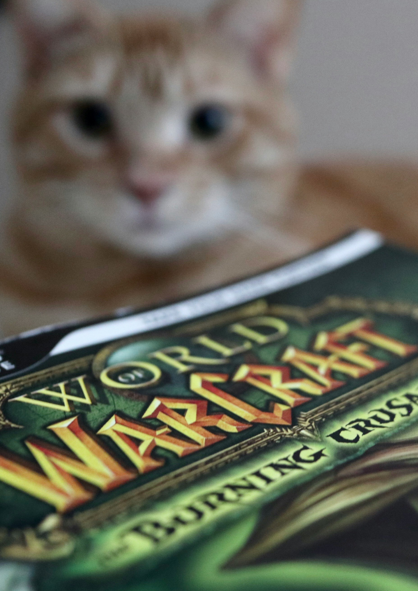 Sociabilité des adolescents dans les MMORPG