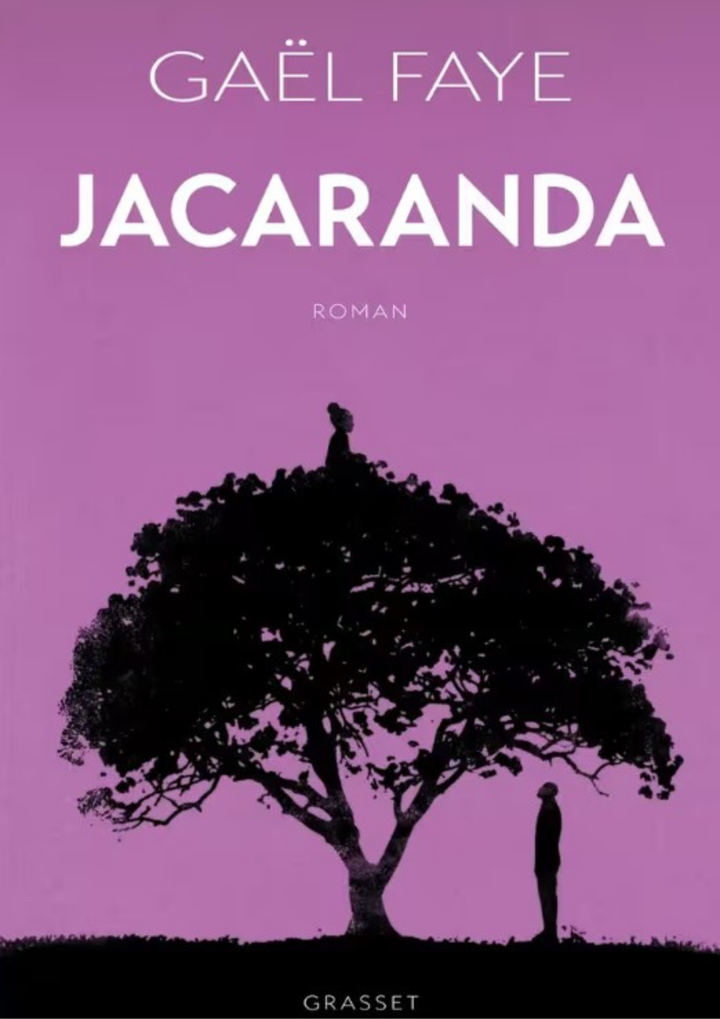Jacaranda