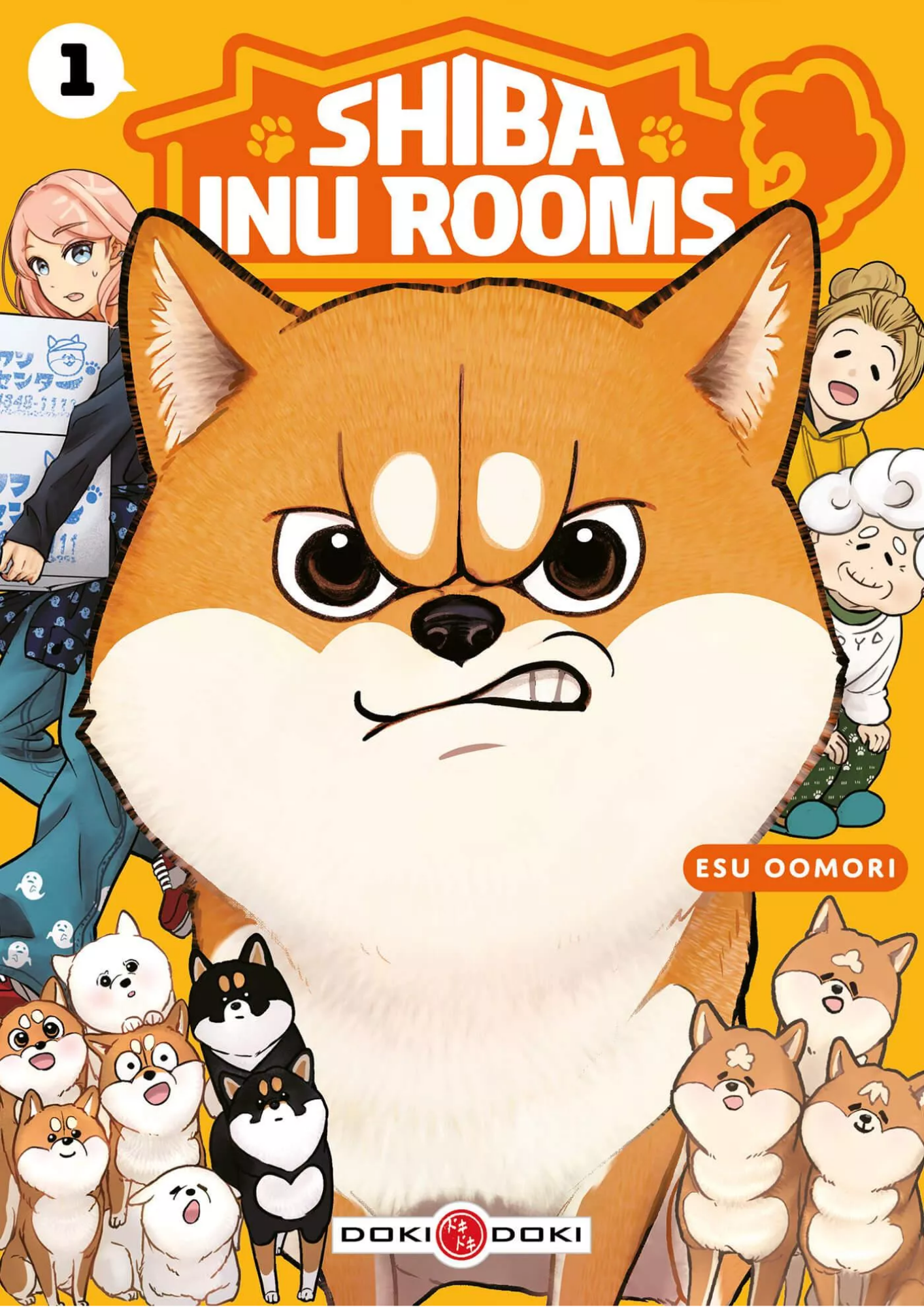 Shiba Inu Rooms T.1